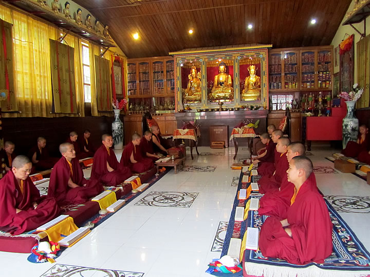 Nuns of Samten Tse in their shrine room during prayers