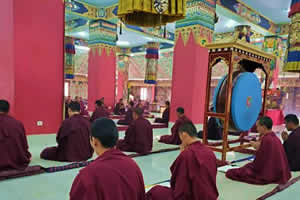 Vast wisdom and compassionate activity at Mindrolling